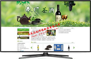 松江網站建設專業服務 打造卓越網站，助力企業線上飛躍